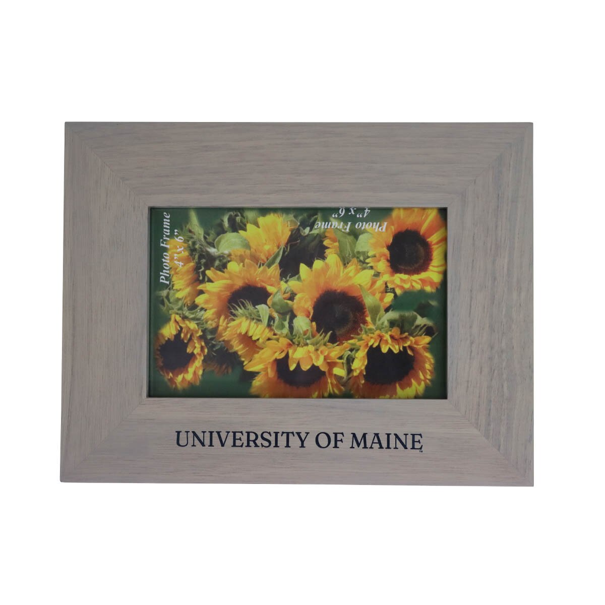 University of Maine Picture Frame